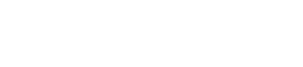 FluidSol